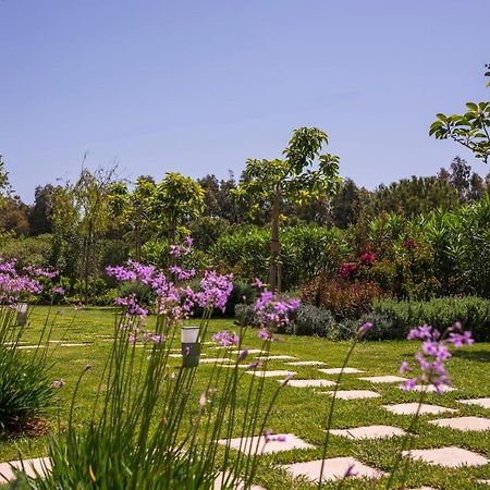 Mear Holiday Homes - Cretan Summer Getaways Kountoura Selino 외부 사진