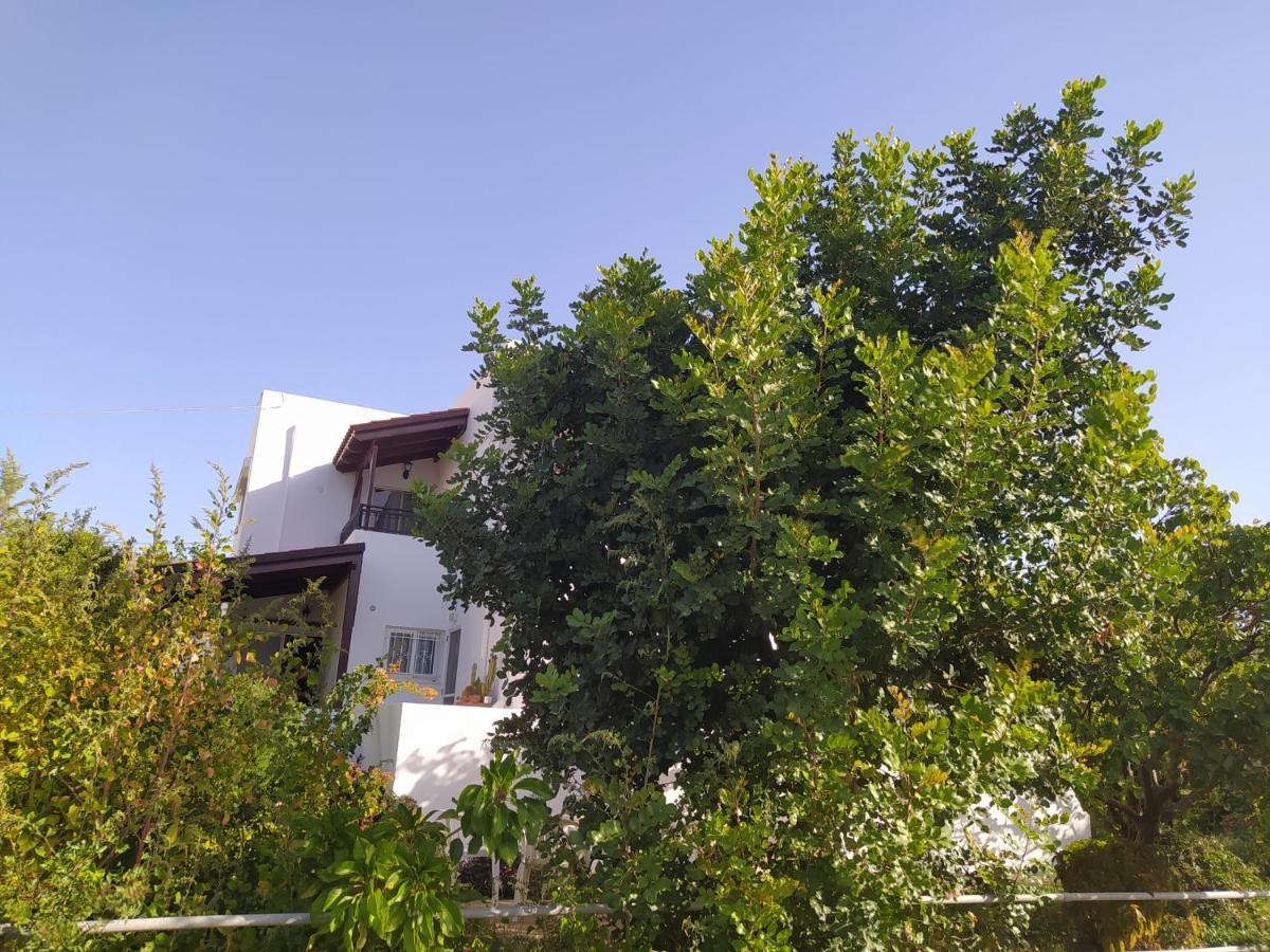 Mear Holiday Homes - Cretan Summer Getaways Kountoura Selino 외부 사진